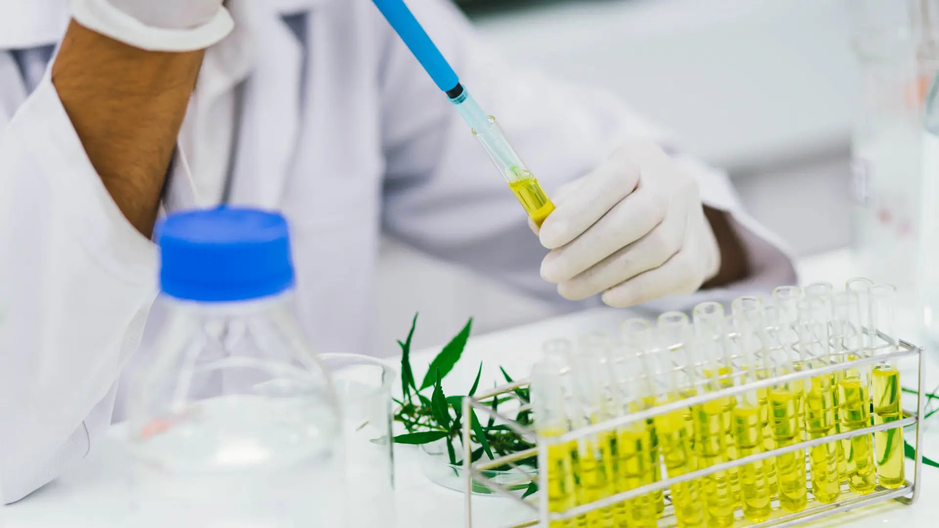 Guide to Choosing the Best Essential Oil Manufacturer & Supplier in India