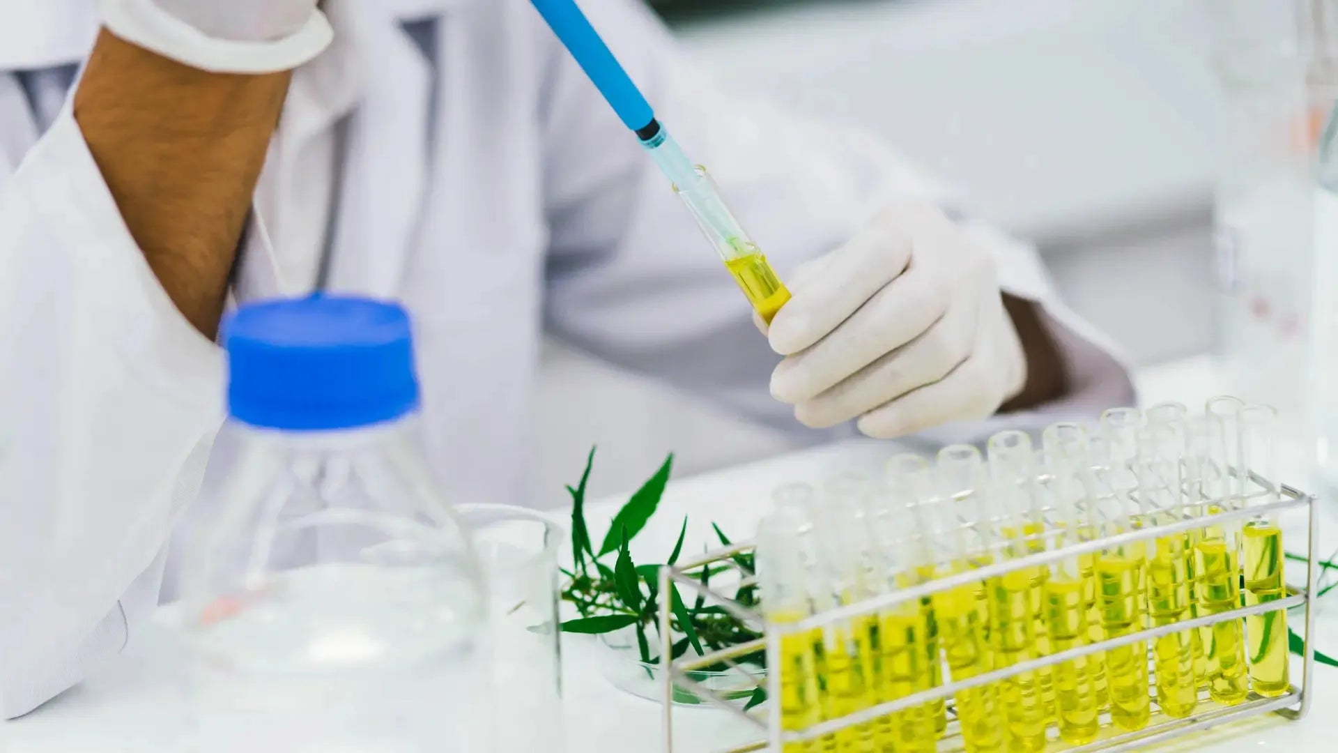 Guide to Choosing the Best Essential Oil Manufacturer & Supplier in India