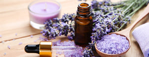 Lavender Essential Oil: Benefits, Uses for Skin, Hair & Aromatherapy
