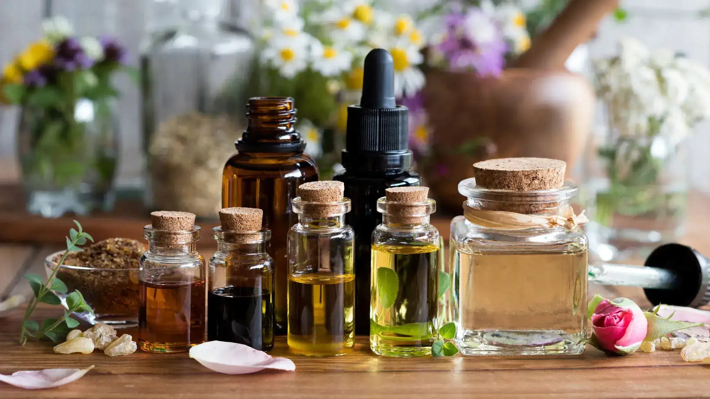 List of the Most Popular Essential Oils and Their Best Uses