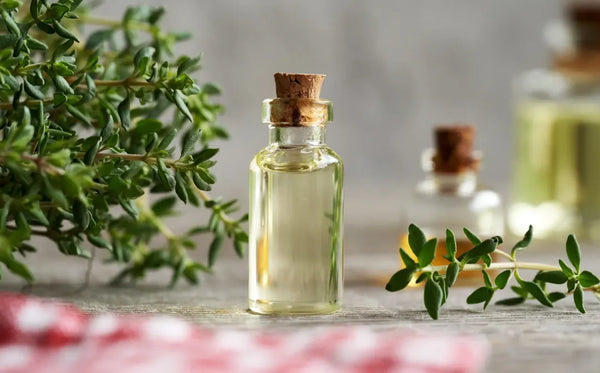 Oil Soluble Extracts