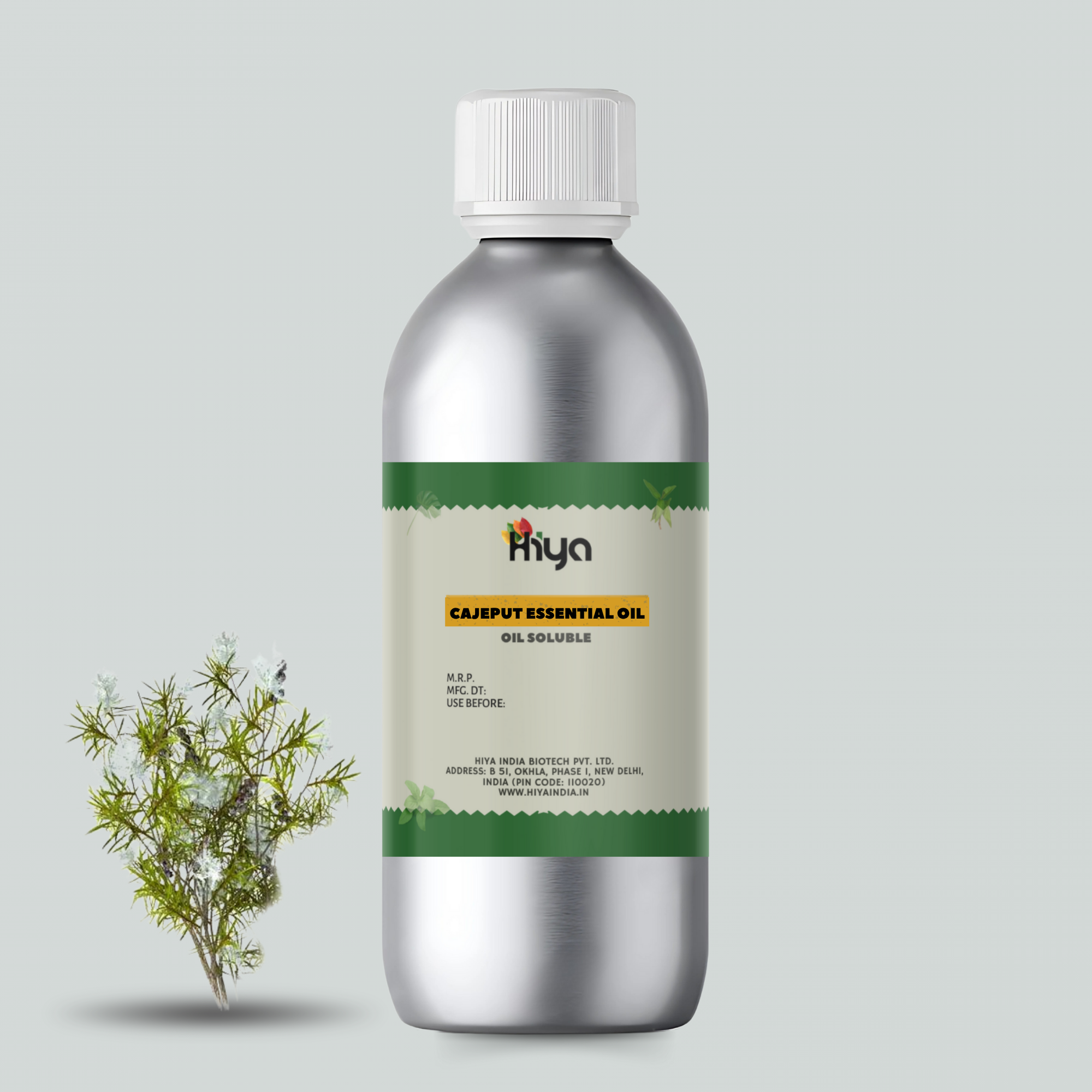 Cajeput Essential Oil