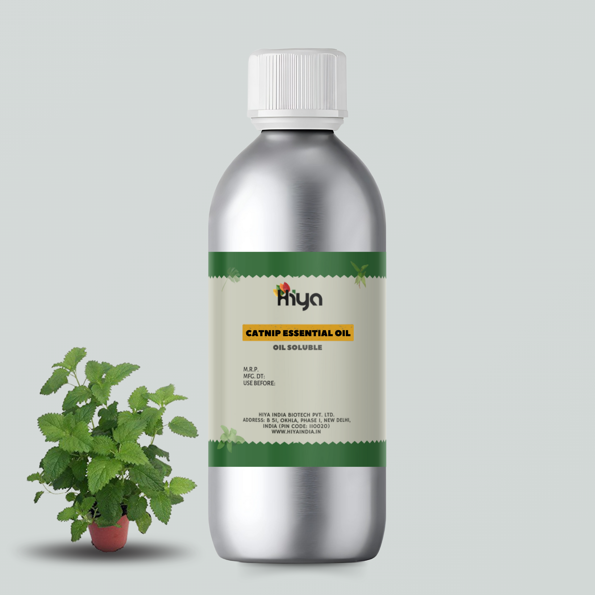 Catnip Essential Oil