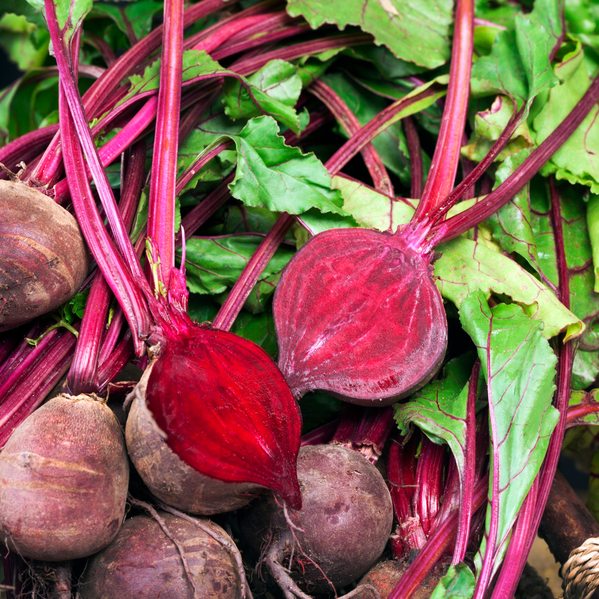 Beetroot Liquid Extract - Water Soluble