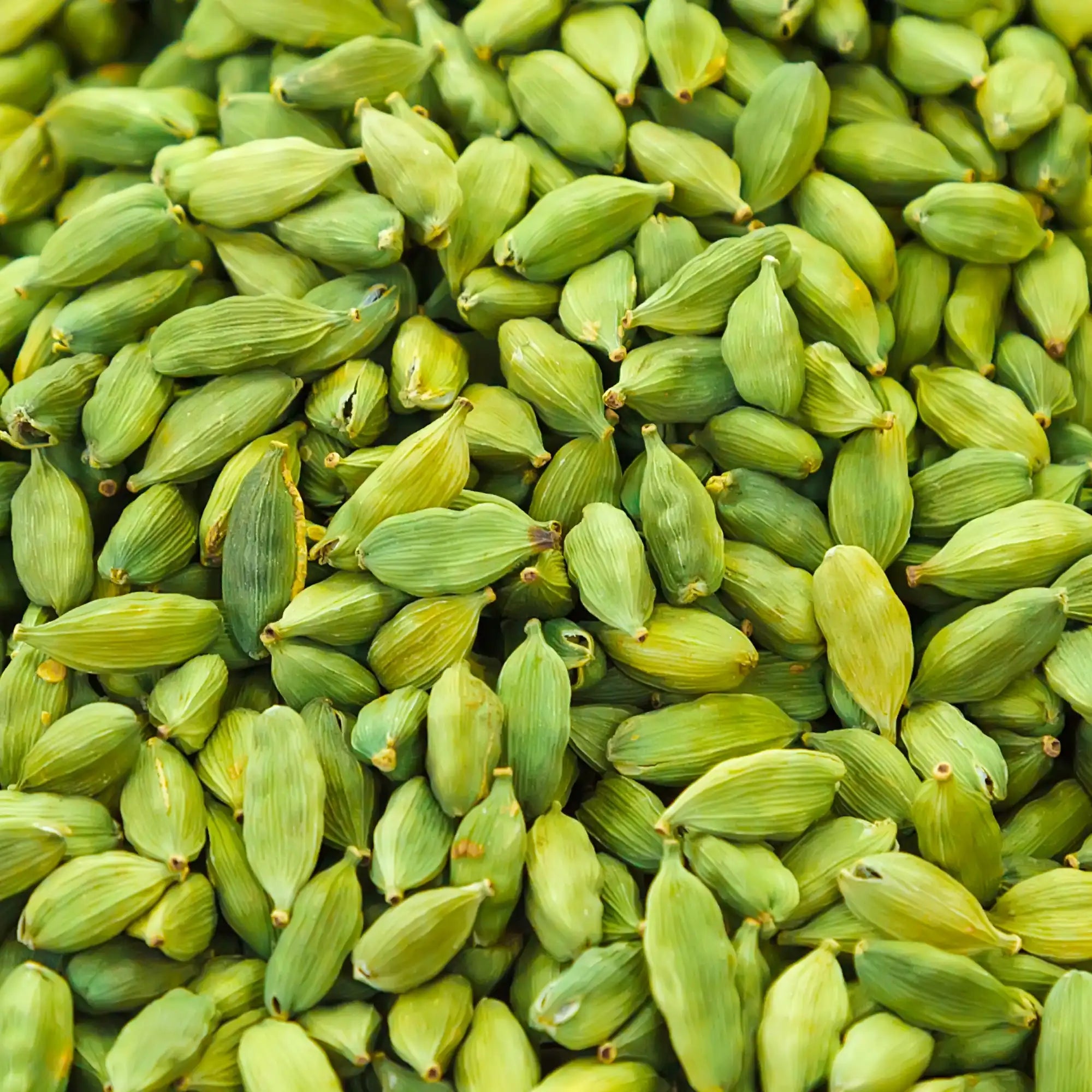 Cardamom Extract - Oil Soluble