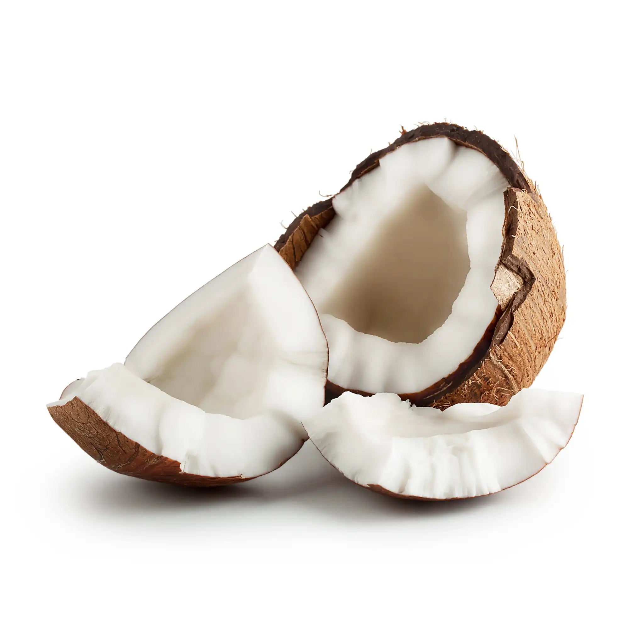 Coconut Extract - Oil Soluble