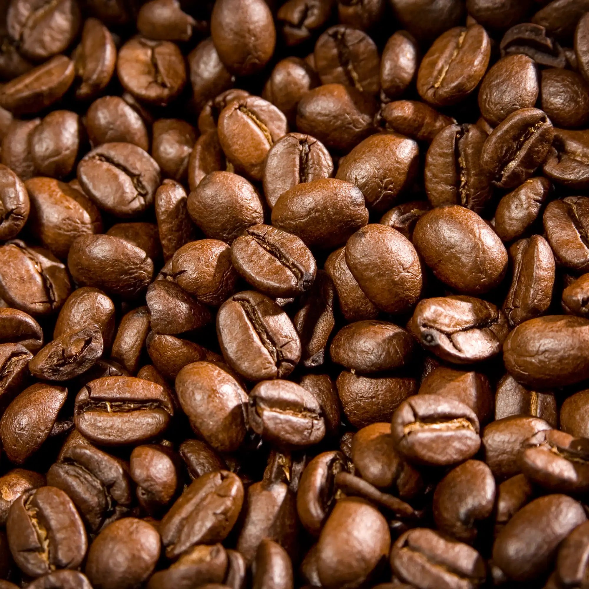 Coffee Bean Extract - Oil Soluble