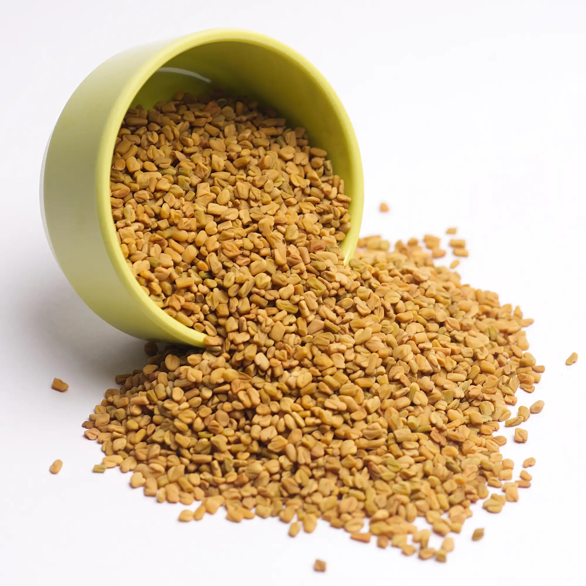 Fenugreek Extract - Oil Soluble