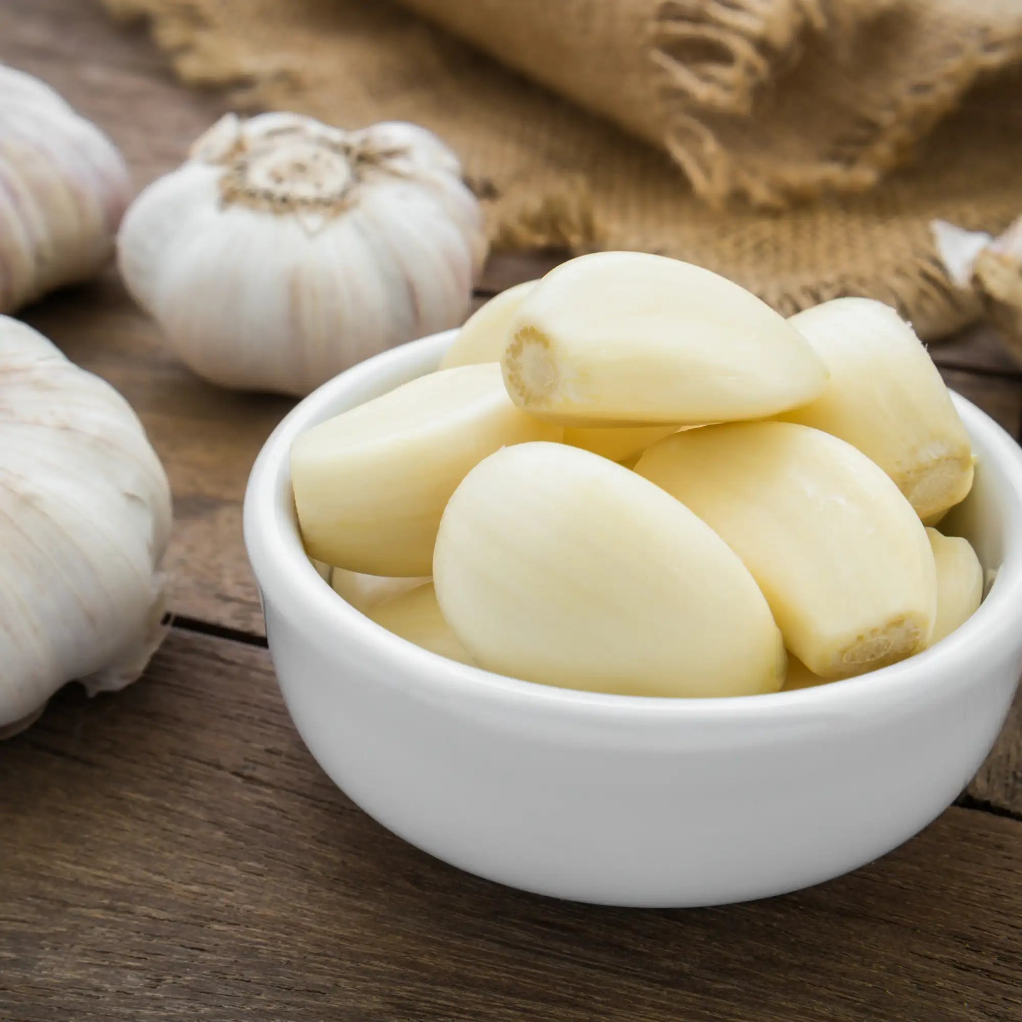 Garlic Extract - Water Soluble (Propanediol)