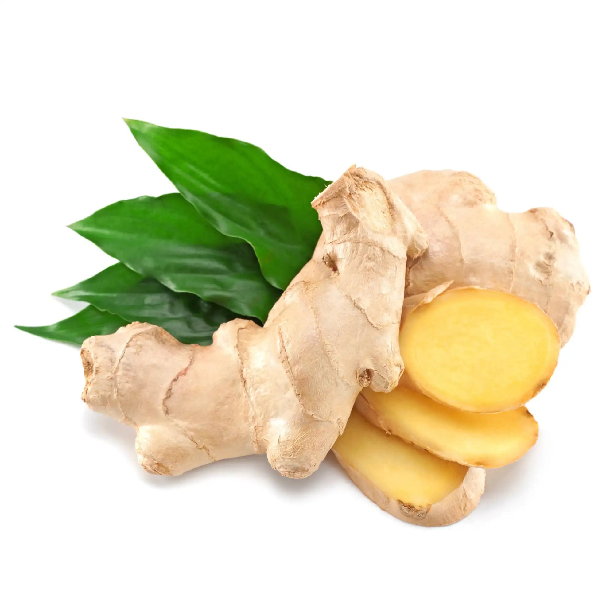 Ginger Extract Water Soluble (Butylene Glycol)