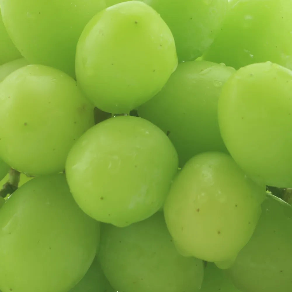 Grapeseed Carrier Oil (Green)