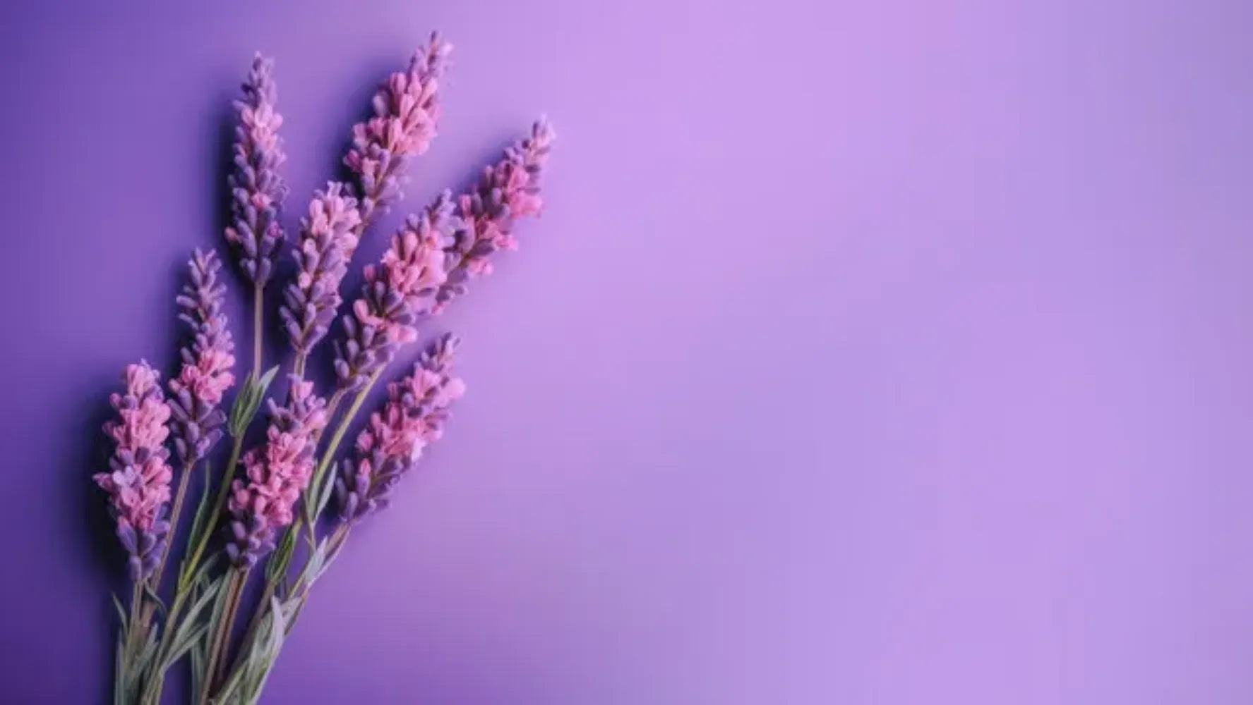 Lavender Fragrance Oil For Personal Care (Oil Soluble)