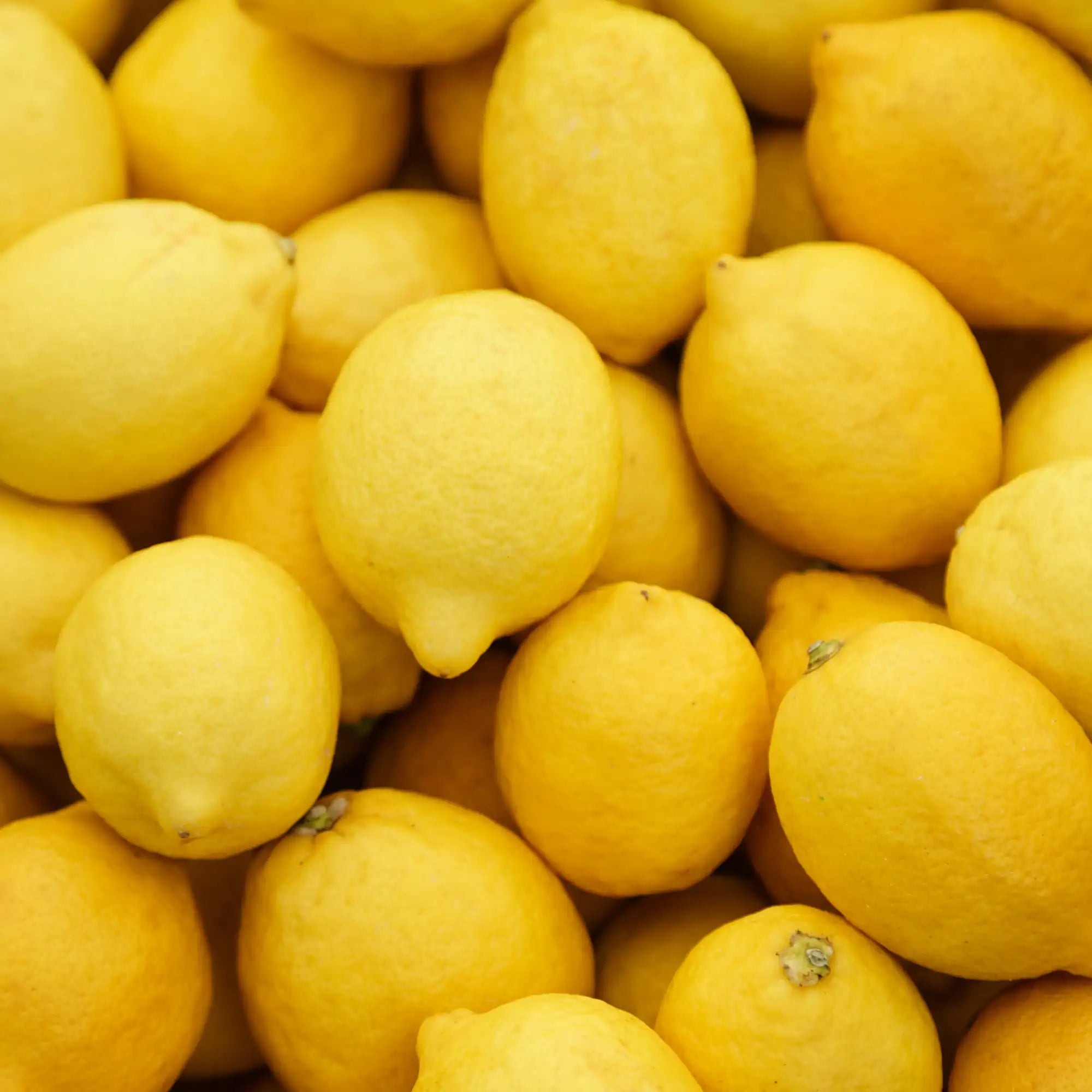 Lemon Extract - Oil Soluble