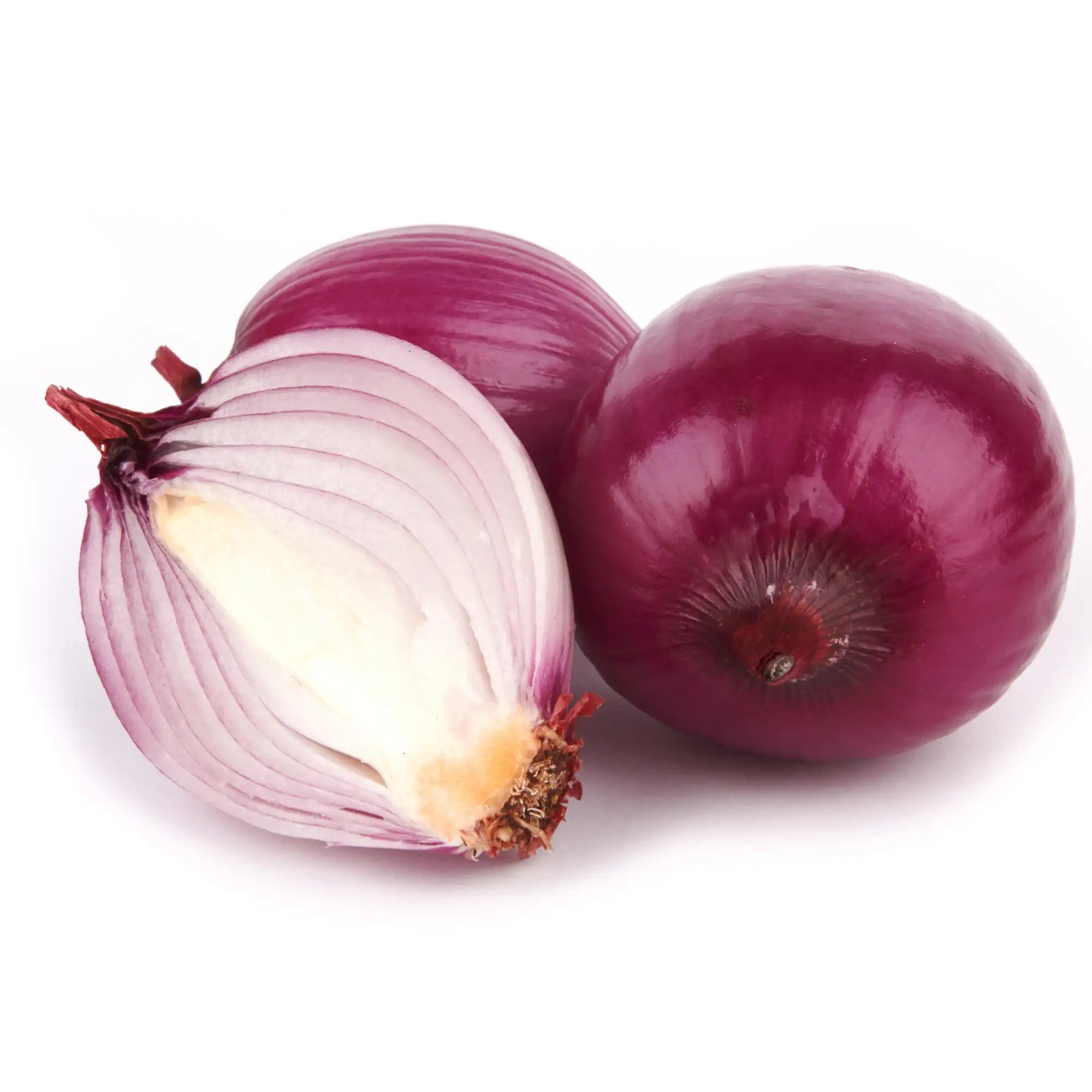 Onion Extract - Oil Soluble
