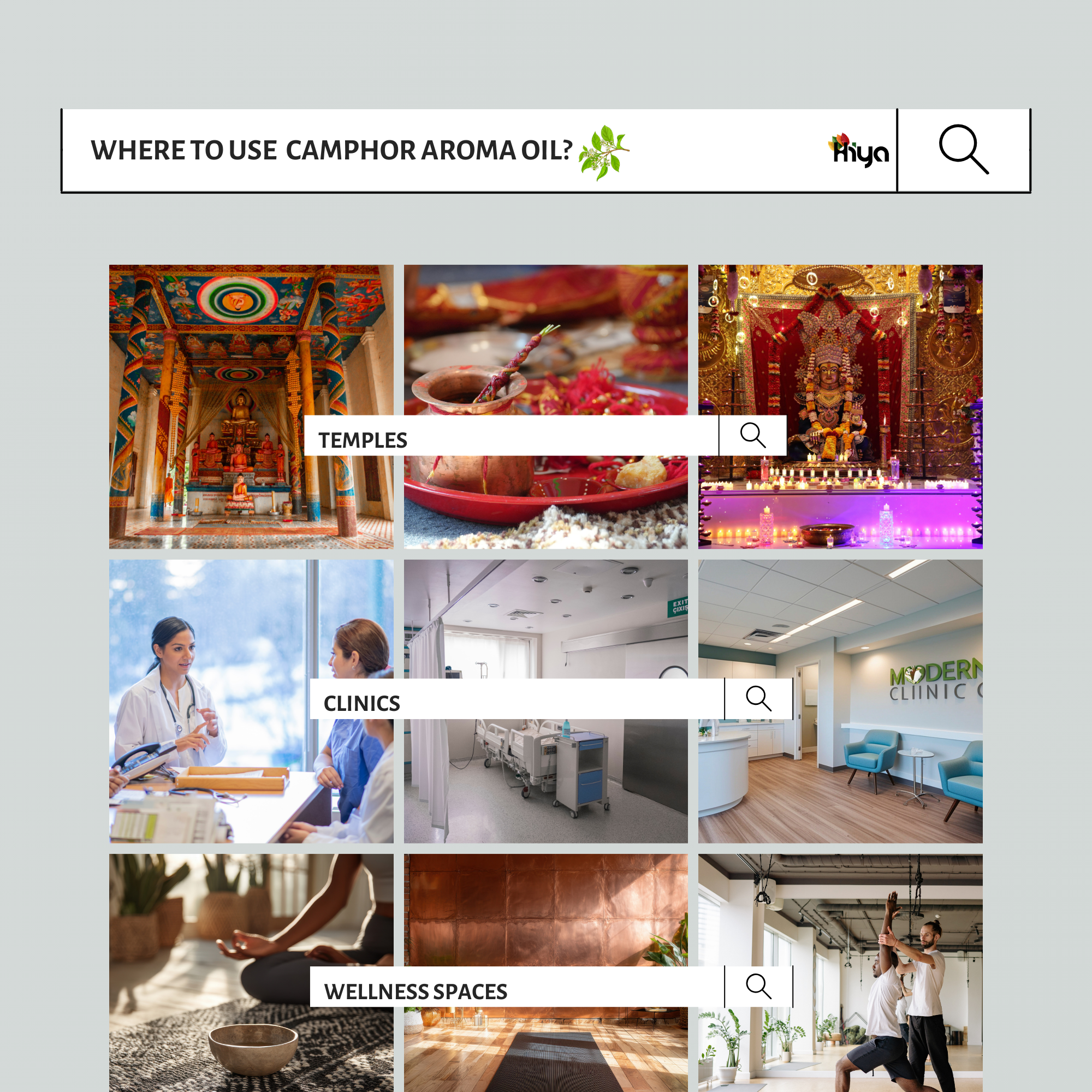 Camphor Aroma Oil for Ultrasonic Diffuser