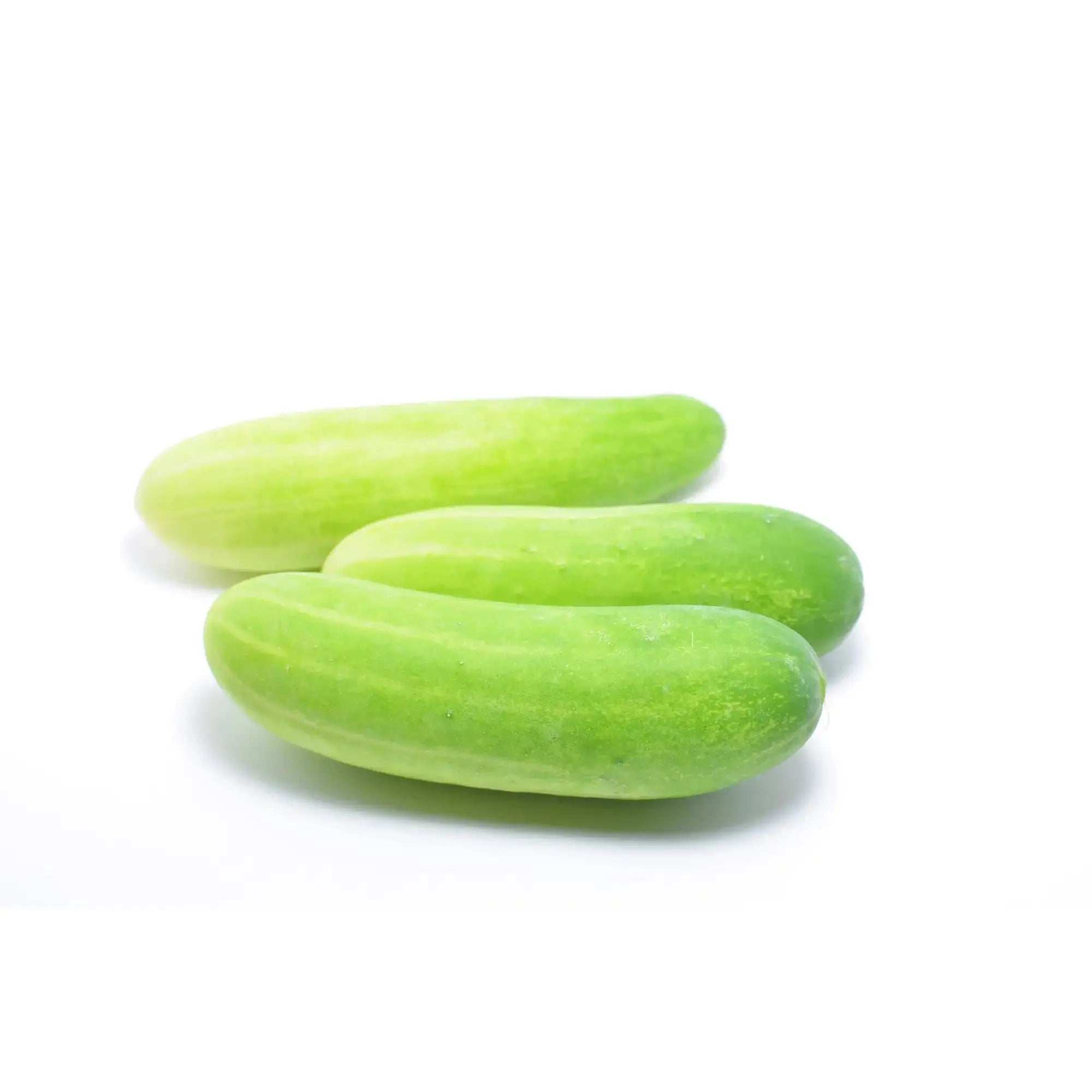 Cucumber Extract - Water Soluble