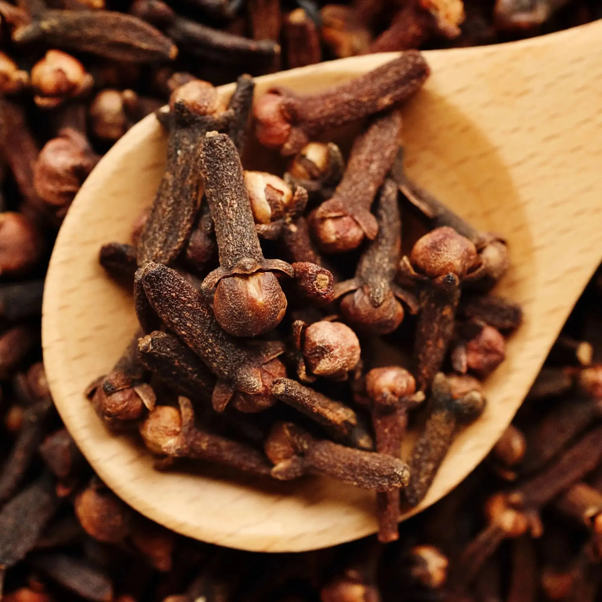Clove Extract - Water Soluble