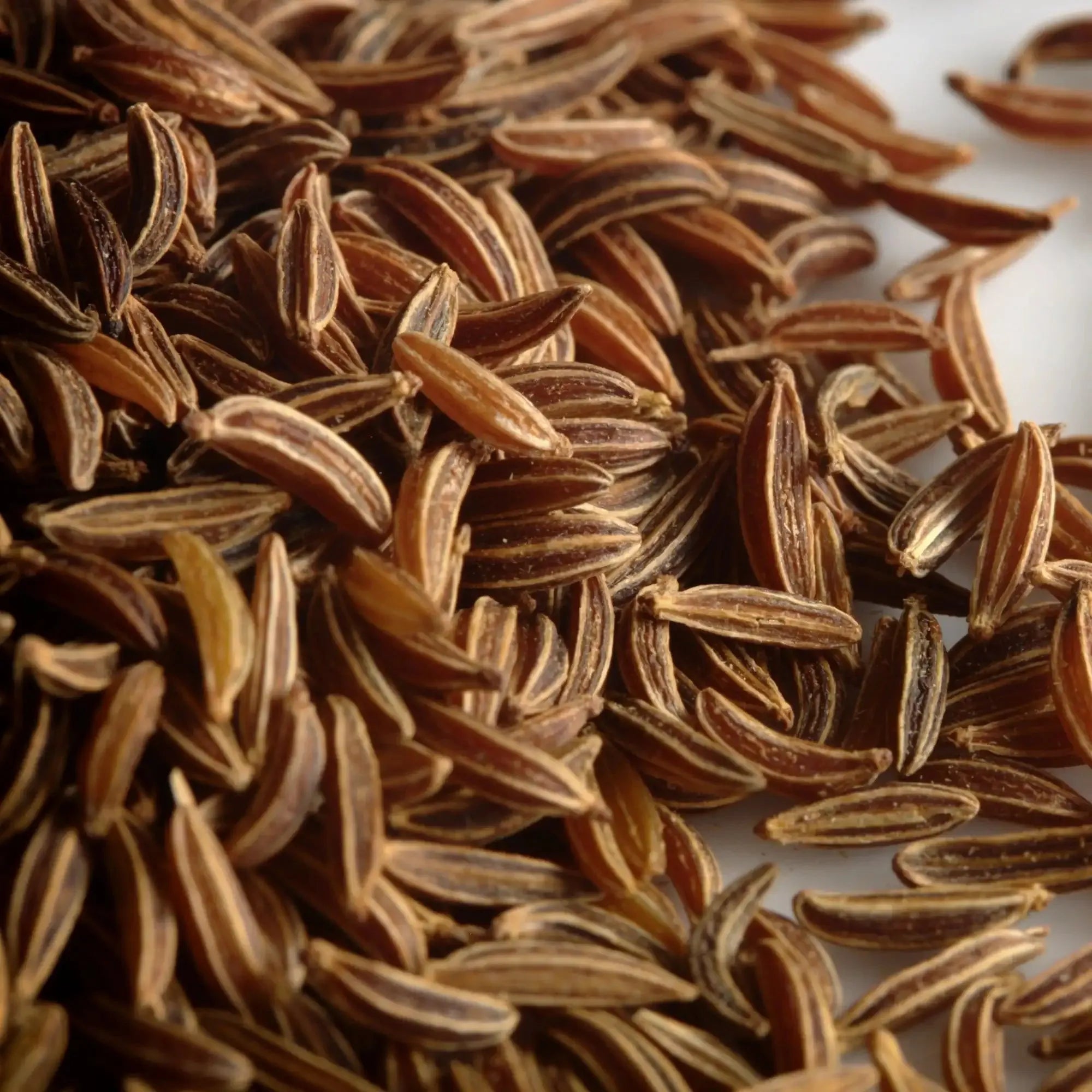 Ajwain oil
