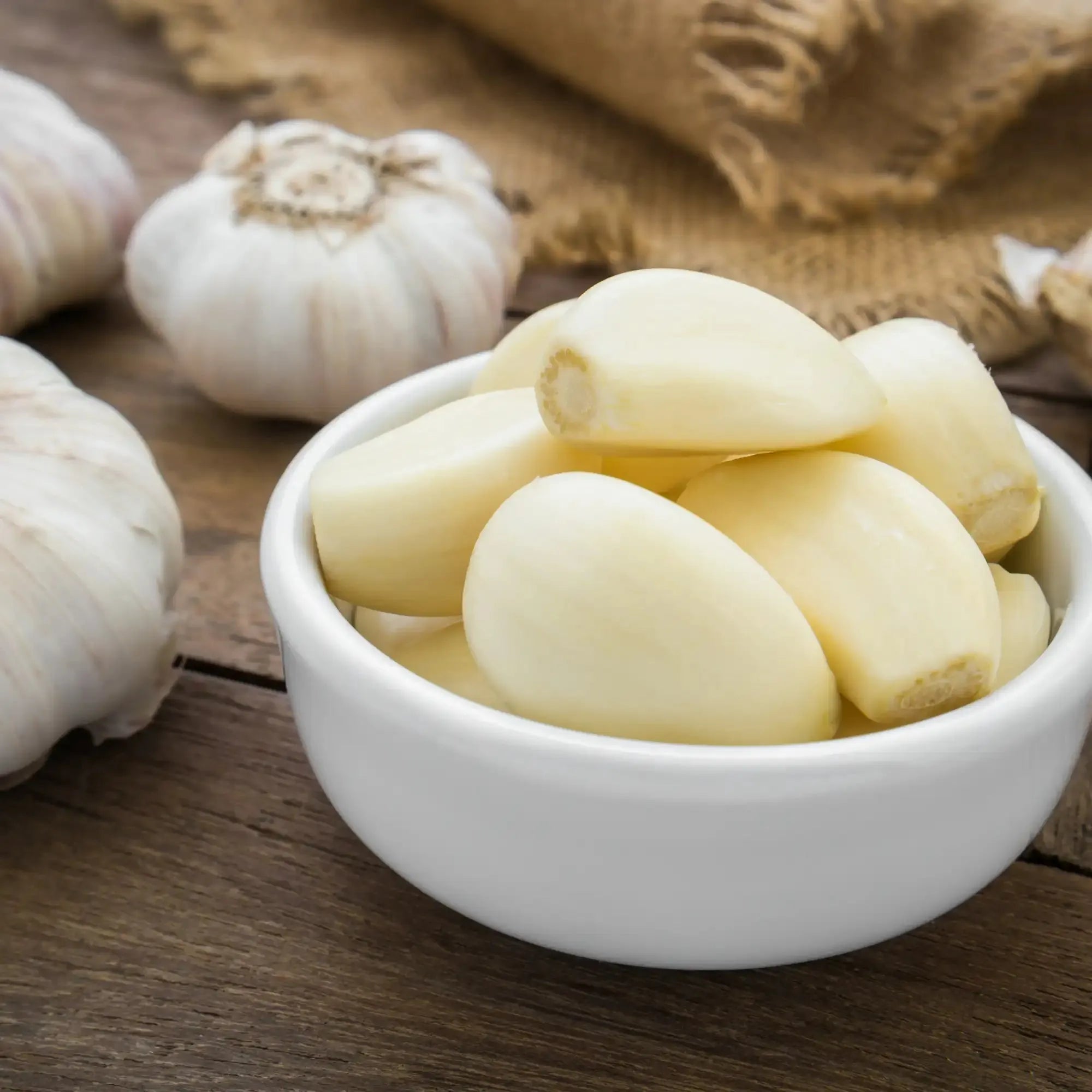 Garlic Extract - Water Soluble