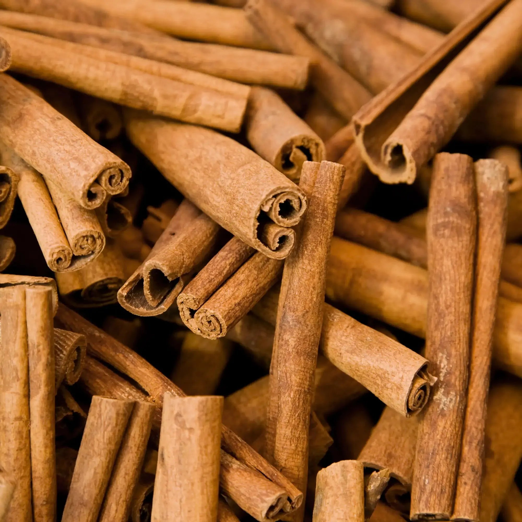 Cinnamon Extract - Water Soluble