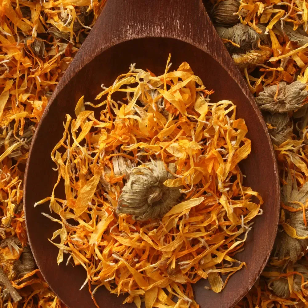 Calendula Liquid Extract - Water Soluble (Butylene Glycol)