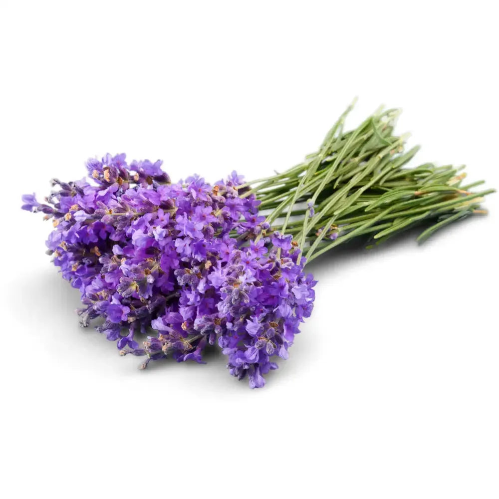 Lavender Fragrance Oil for Soap Making
