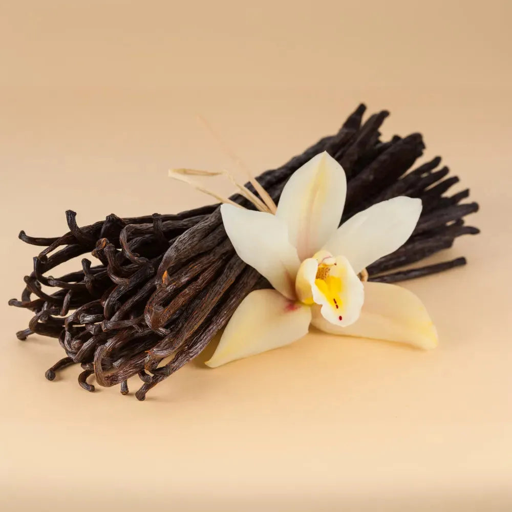 Vanilla Fragrance Oil for Soap Making