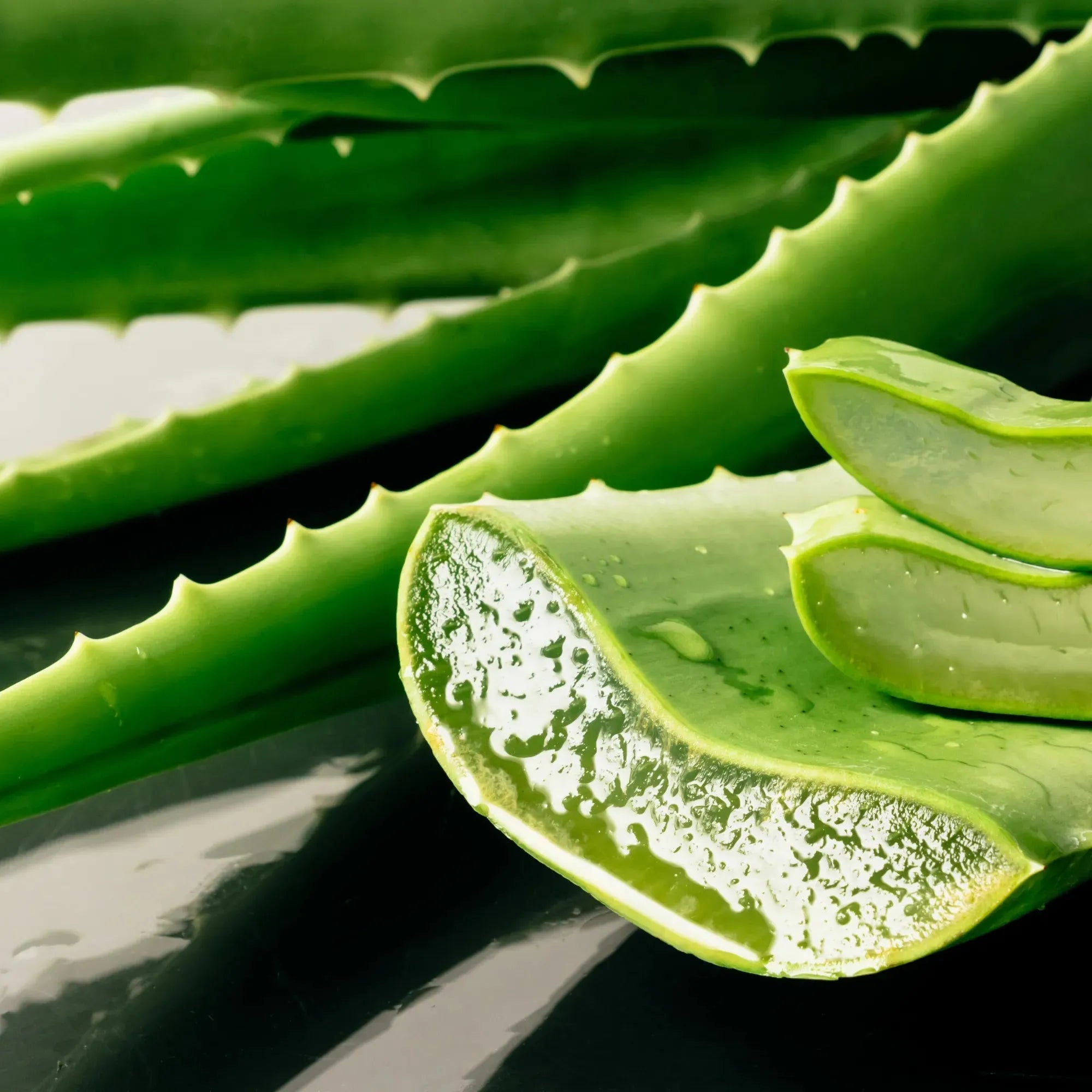 Aloe Vera Liquid Extract - Oil Soluble