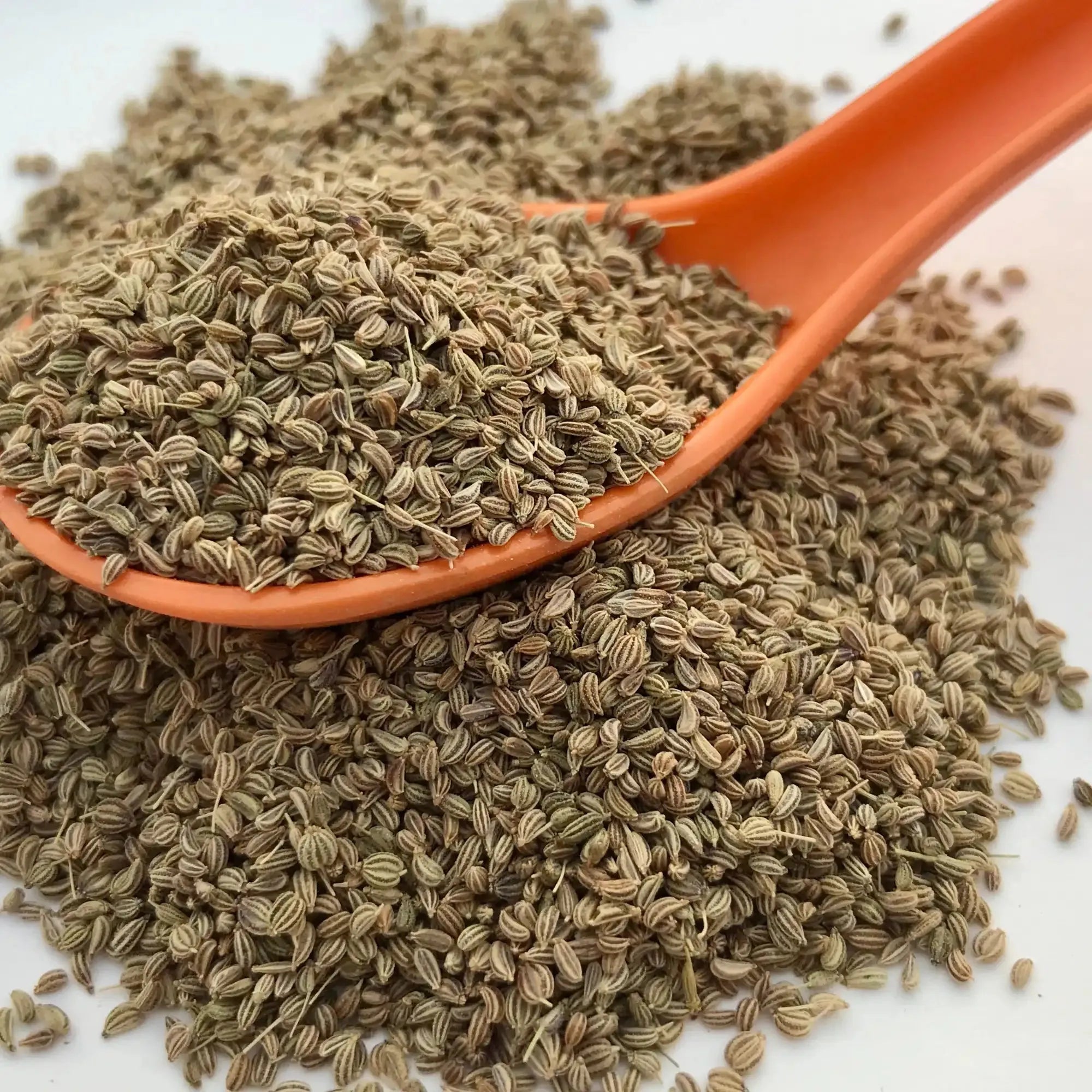 Carom Seed Extract - Water Soluble