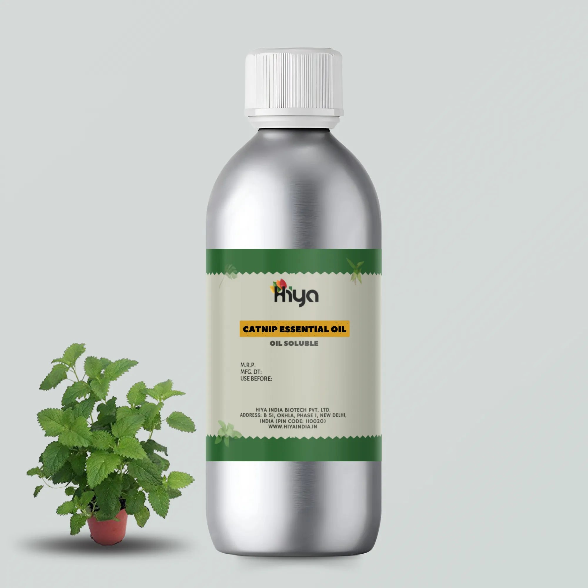 Catnip Essential Oil