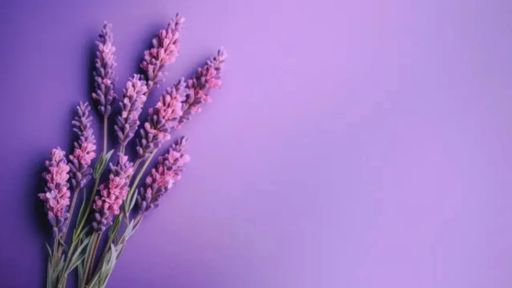 Lavender Fragrance Oil For Personal Care (Oil Soluble)