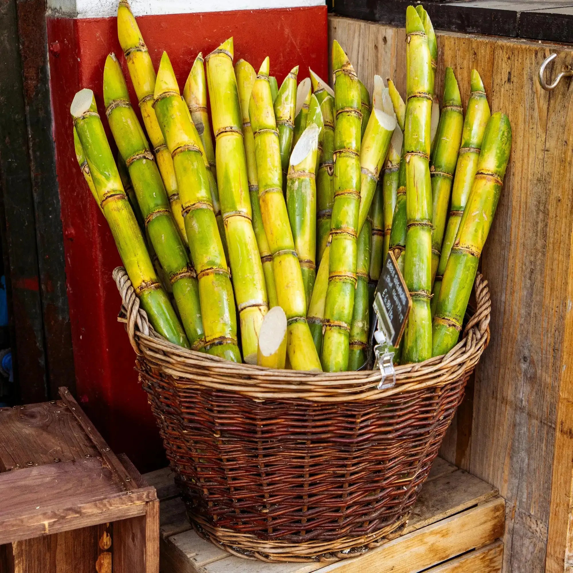 Sugarcane Extract - Water Soluble