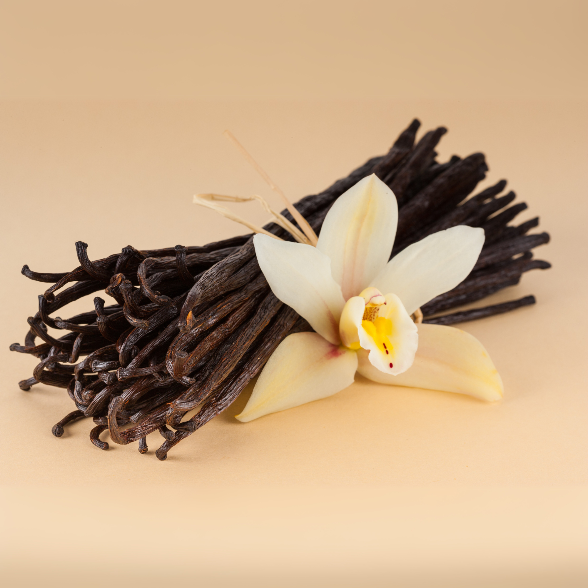 Vanilla Fragrance Oil for Soap Making